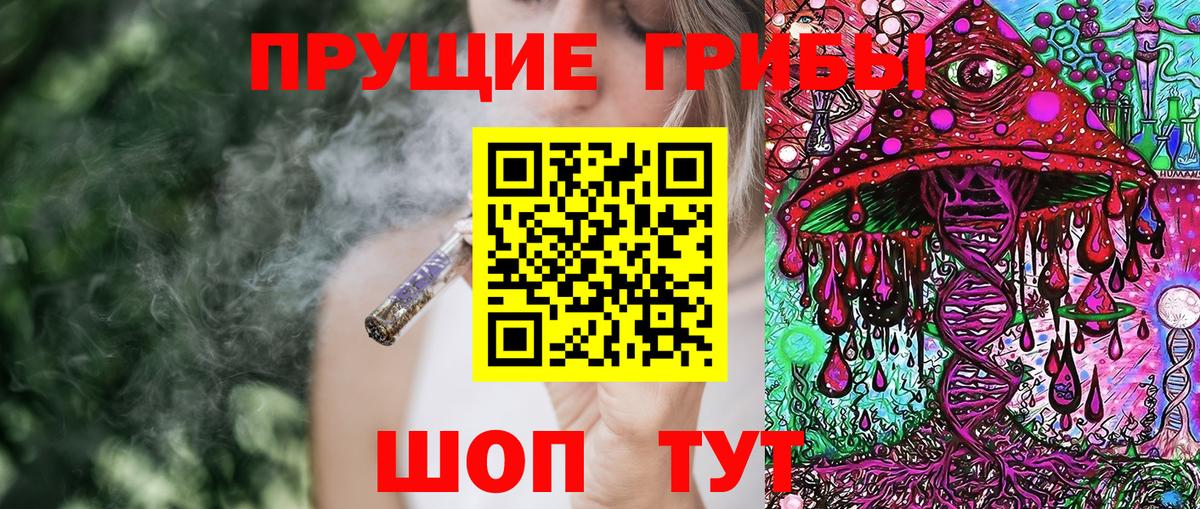 Отрадный  Галлюциногенные грибы Psilocybine cubensis  Вход с VPN 